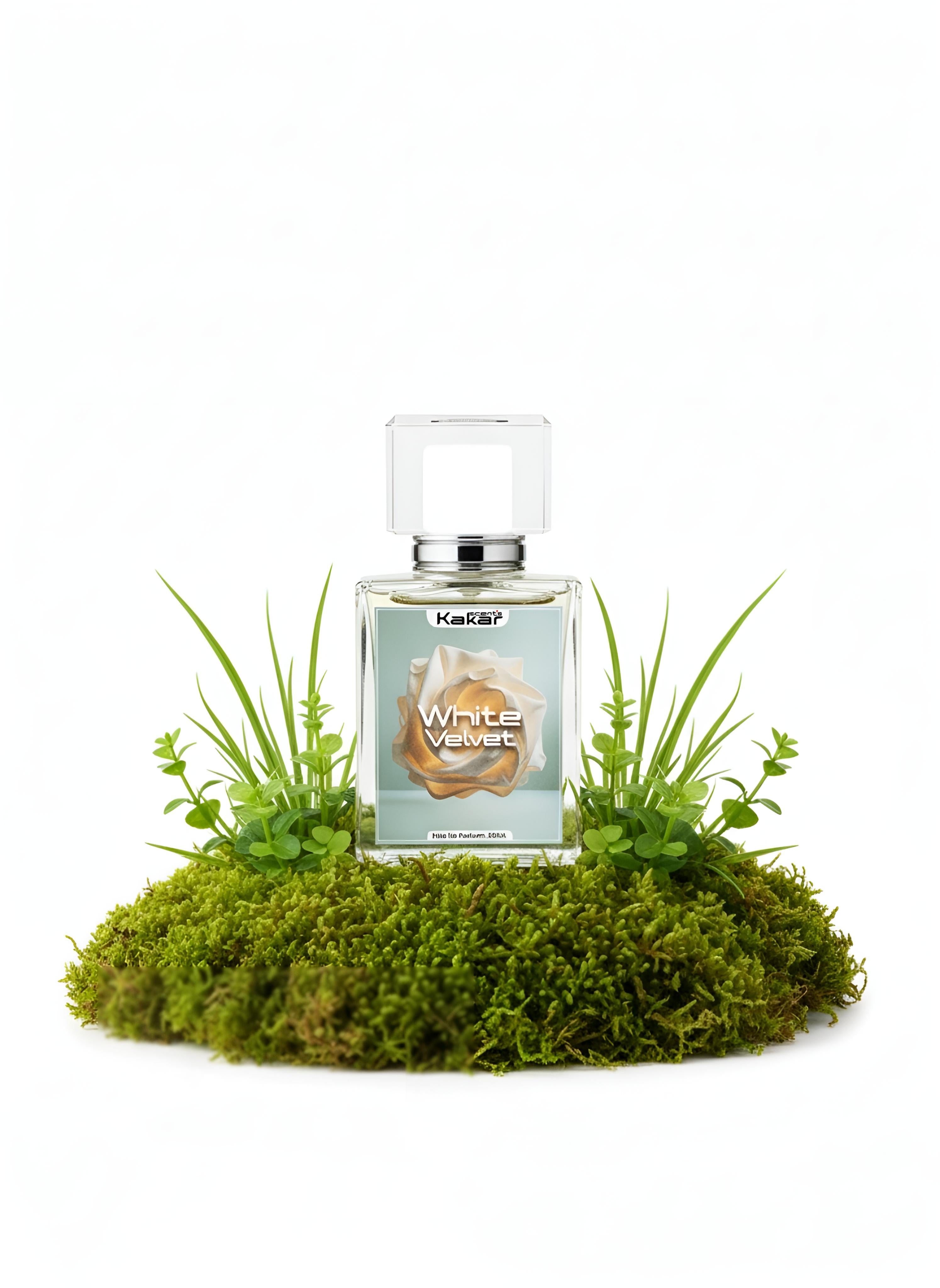 White Velvet – Inspired By White Wood